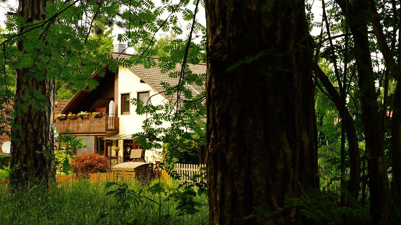 Ferienwohnung Im Wald Mit Kamin Bad Harzburg Buitenkant foto