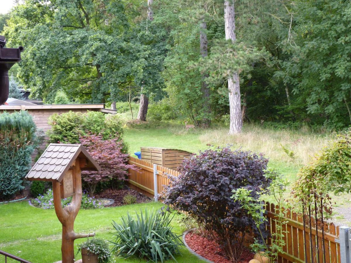 Ferienwohnung Im Wald Mit Kamin Bad Harzburg Buitenkant foto